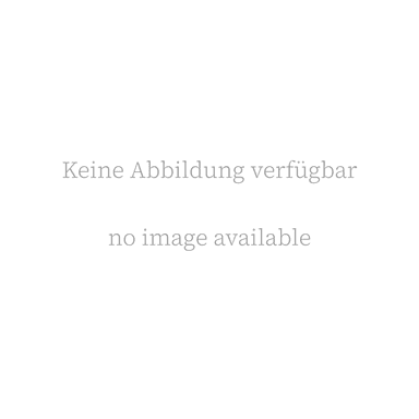 Keine Abbildung