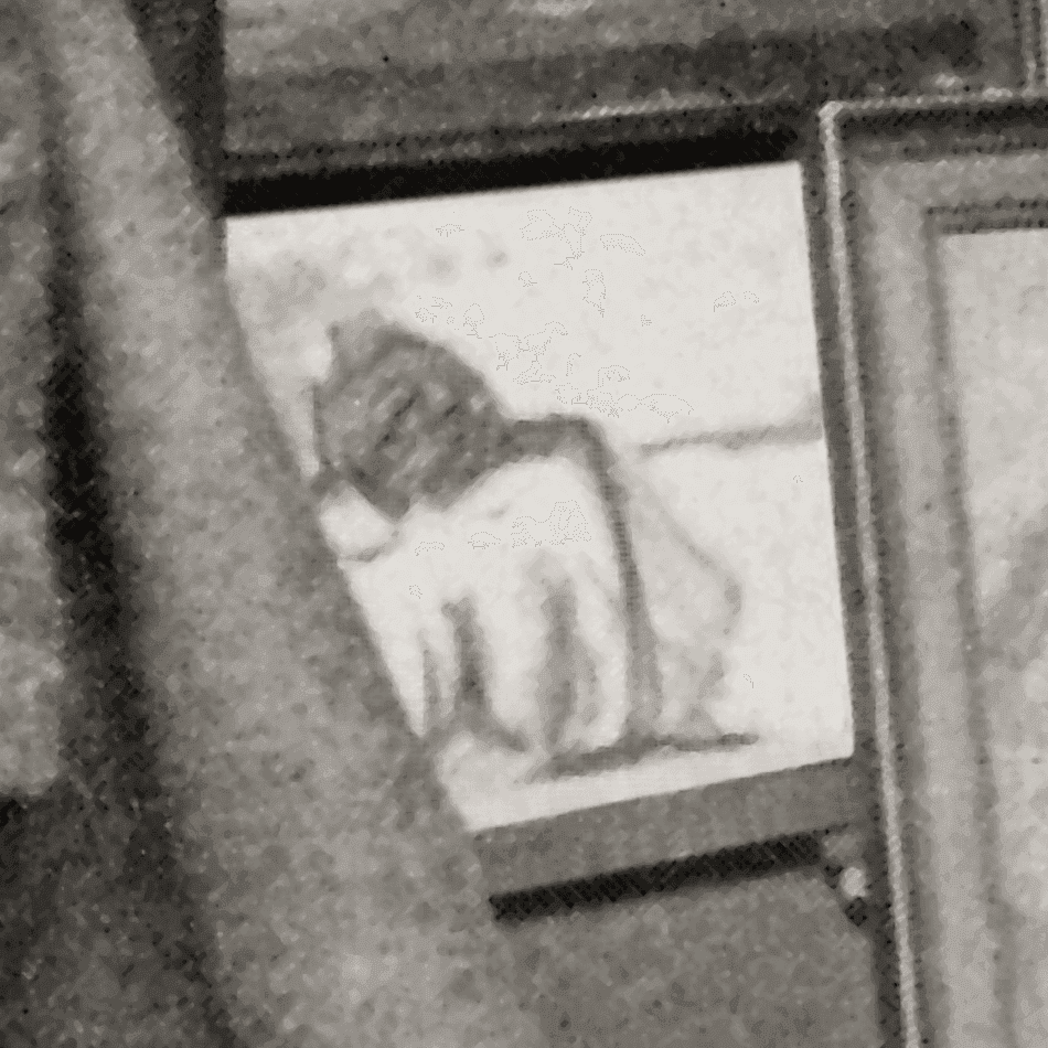 069 Weiblicher Rückenakt (Detail)