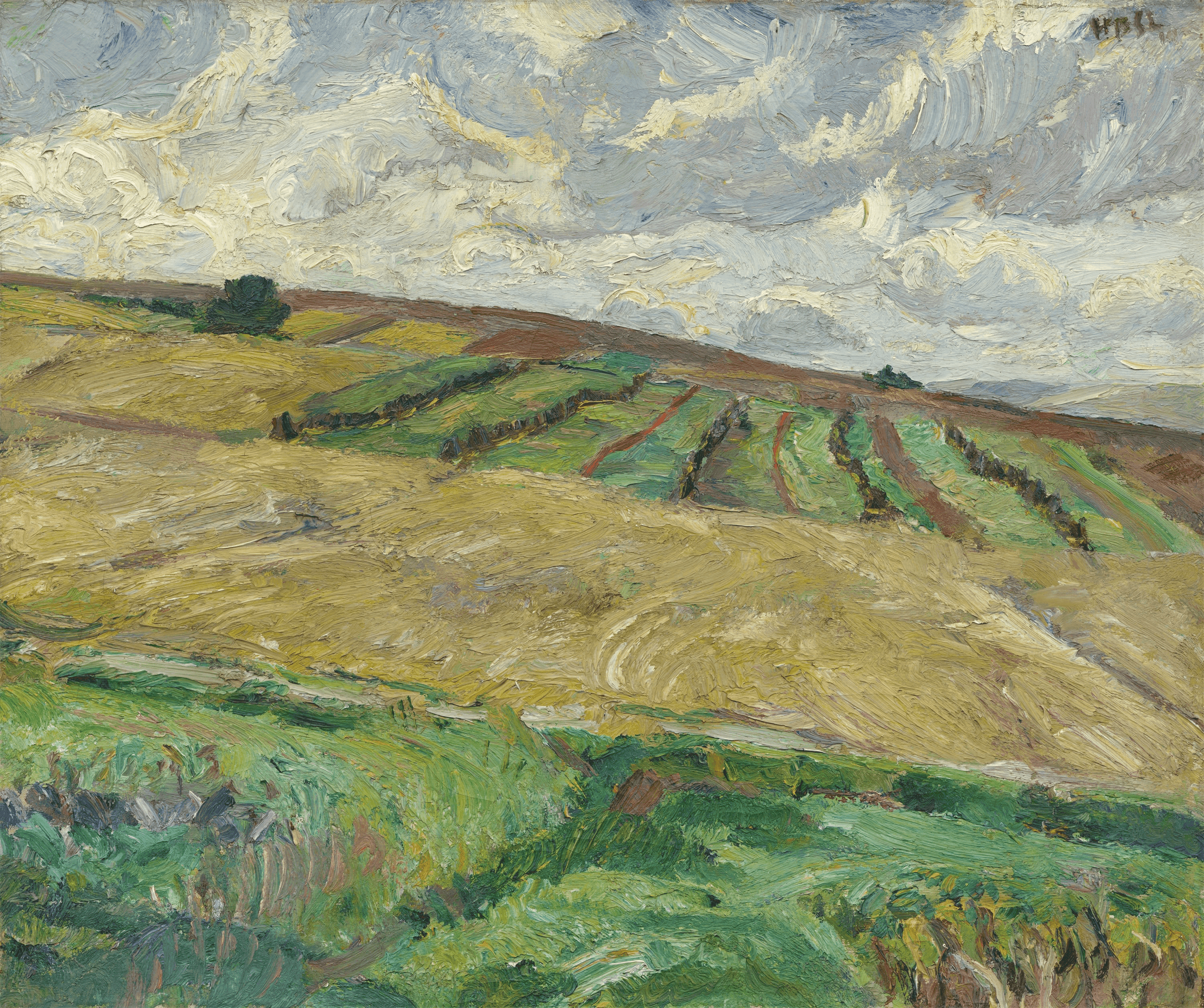132 Helle Nenndorfer Landschaft