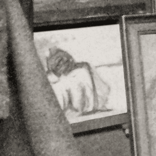 069 Weiblicher Rückenakt (Detail)