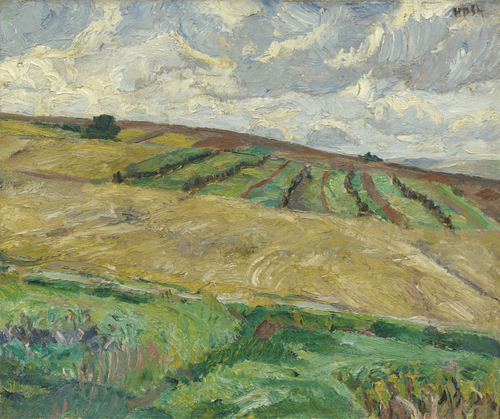 132 Helle Nenndorfer Landschaft